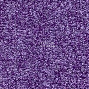 Ковролин Radici Trotter Viola 2421 фото 1 | FLOORDEALER